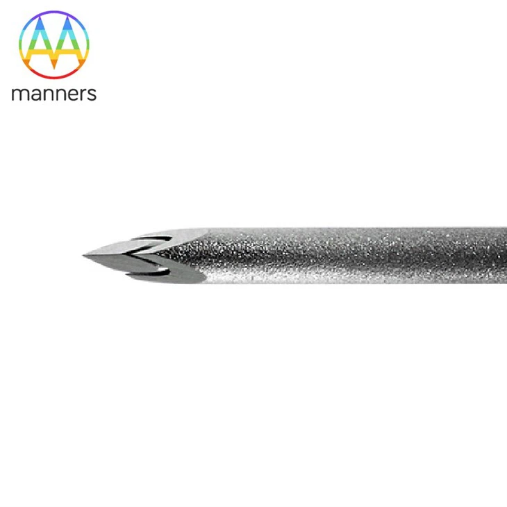 Stylet Cannula